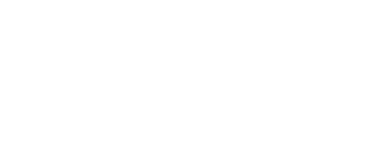 Primaria Municipiului Bucuresti